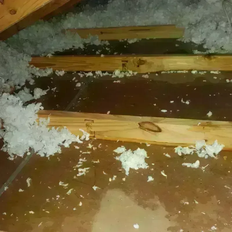 Attic Water Damage in Winchester, VA