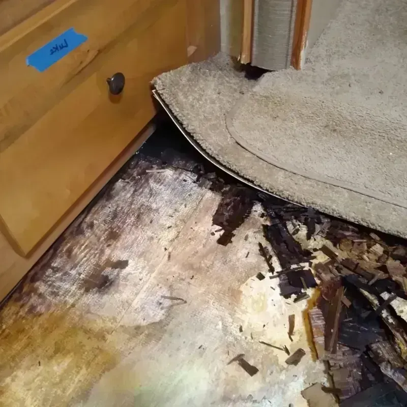 Wood Floor Water Damage in Winchester, VA